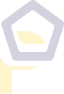 Example Image